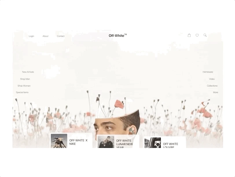 Visual exploration 2